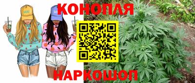 PSILOCYBIN Кандалакша