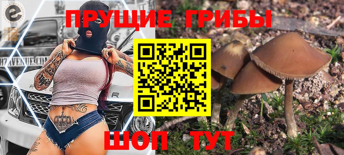 Галлюциногенные грибы MAGIC MUSHROOMS  Галлюциногенные грибы ЛСД  Вход с VPN  Лосино-Петровский 