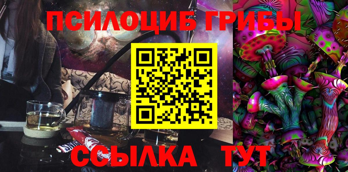 Псилоцибиновые грибы мицелий Лосино-Петровский