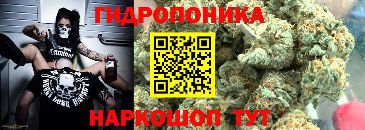 Шишки марихуана Amnesia  Канабис AK-47  Лосино-Петровский  Вход с VPN  Марихуана марихуана 